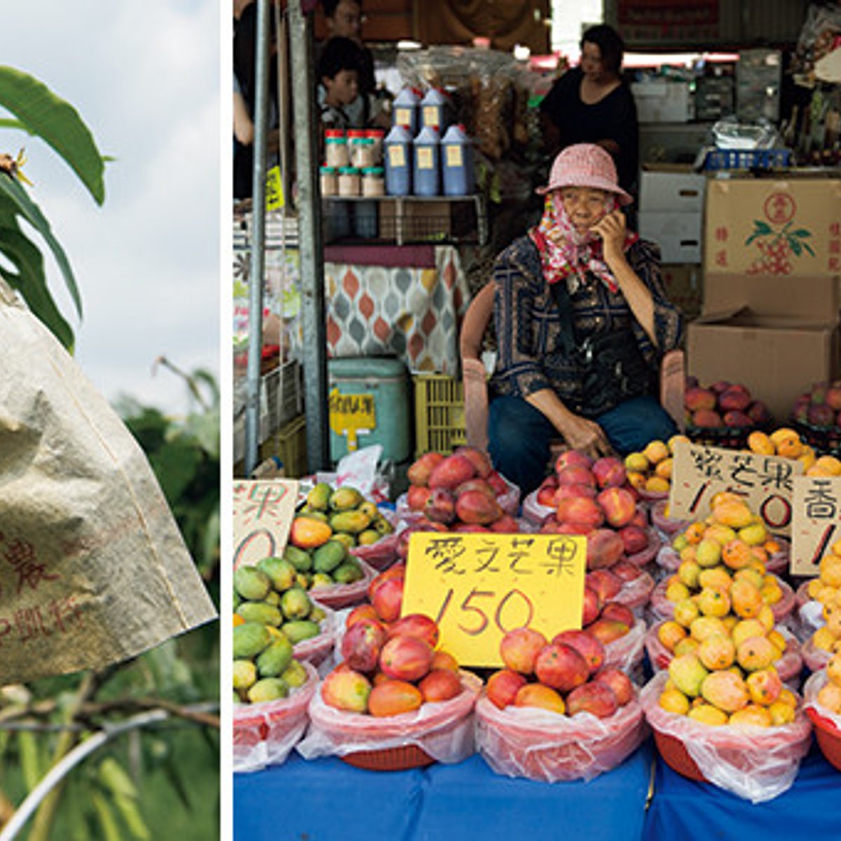 台湾のマンゴーの聖地で、食べくらべ＆ジャム作り。