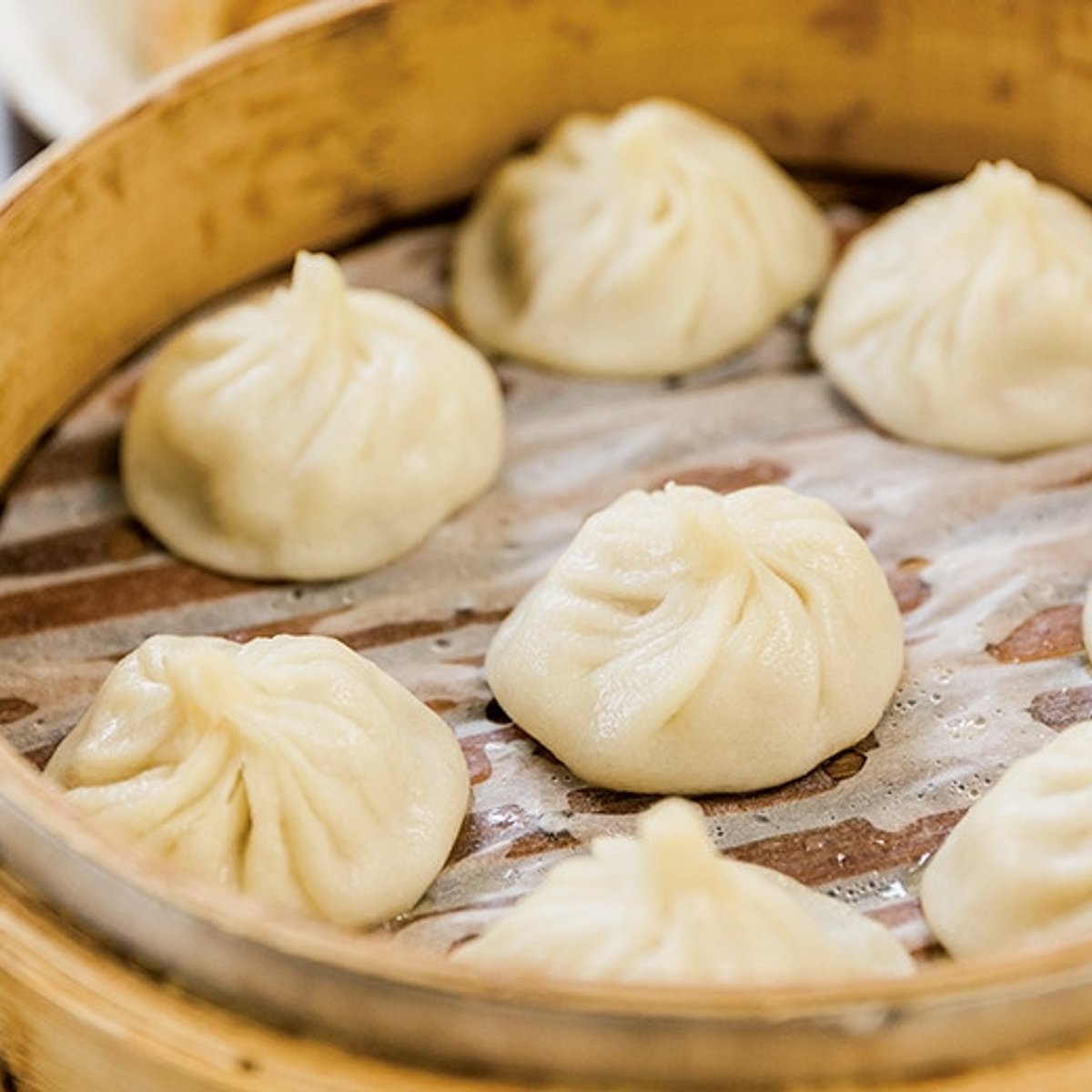 燒餅、小籠包……台北でいちばんの朝ごはんを食べよう。