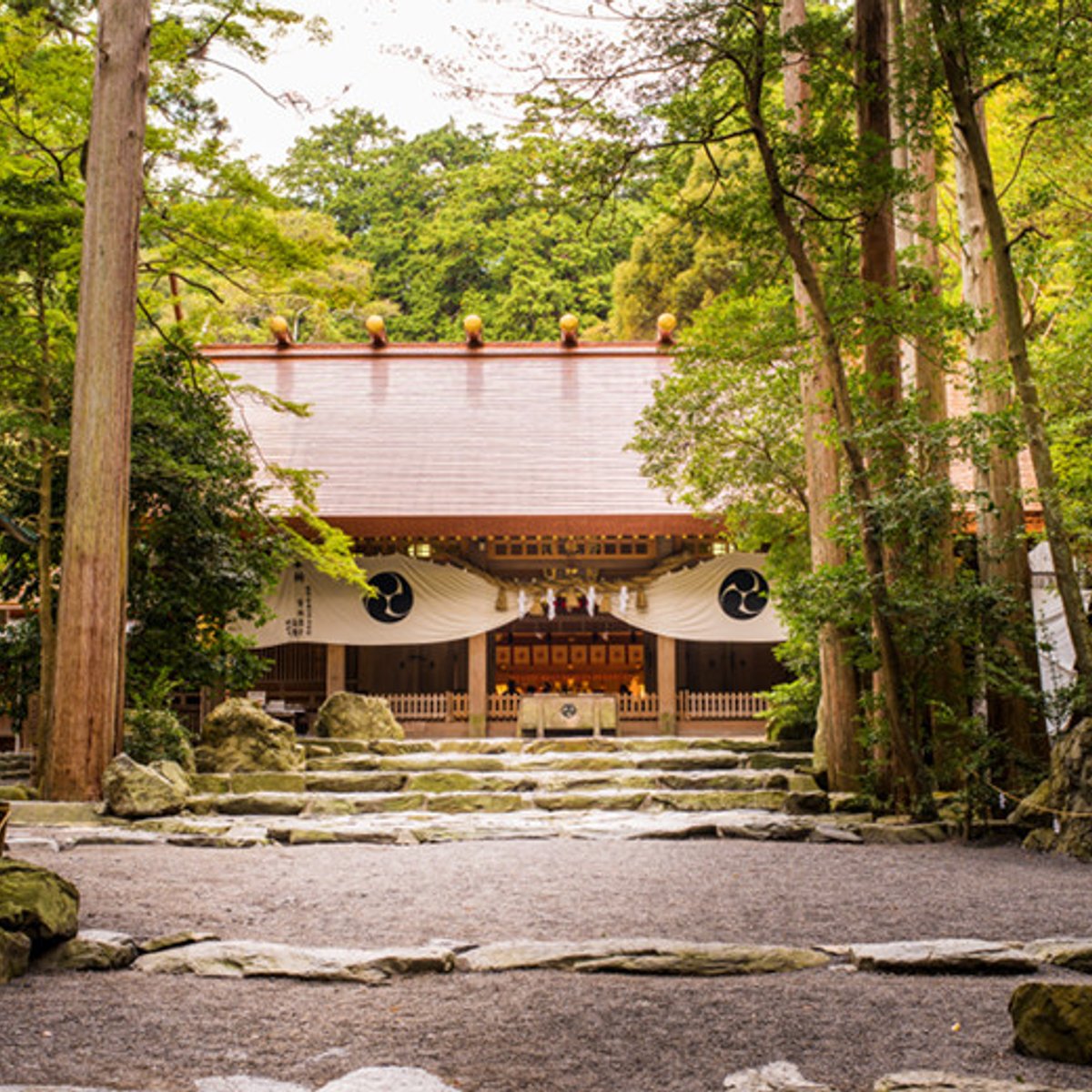 向かうべき道を照らしてくれる、 導きの神宿る椿大神社。