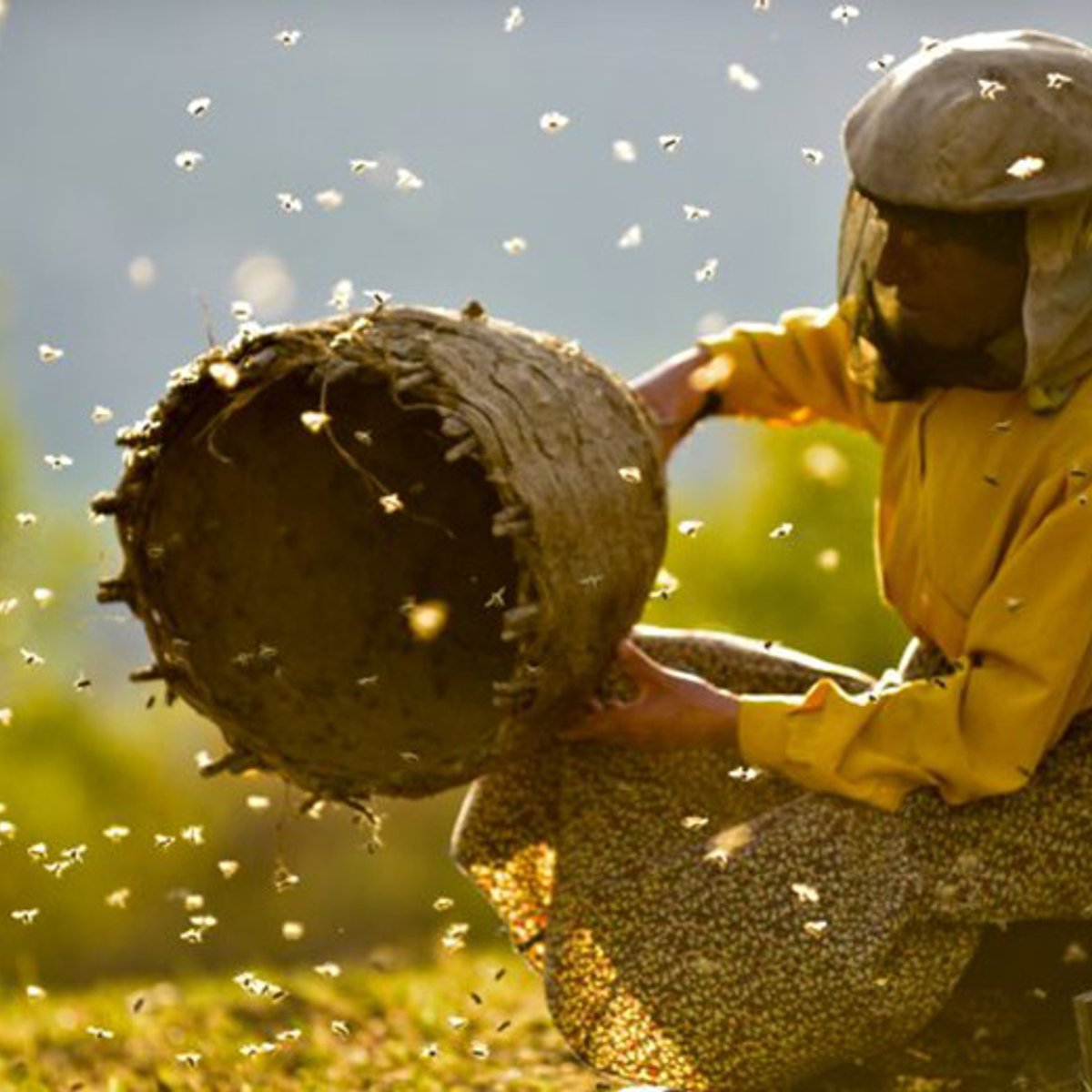 『ハニーランド』で考える、サステナビリティと資本主義。