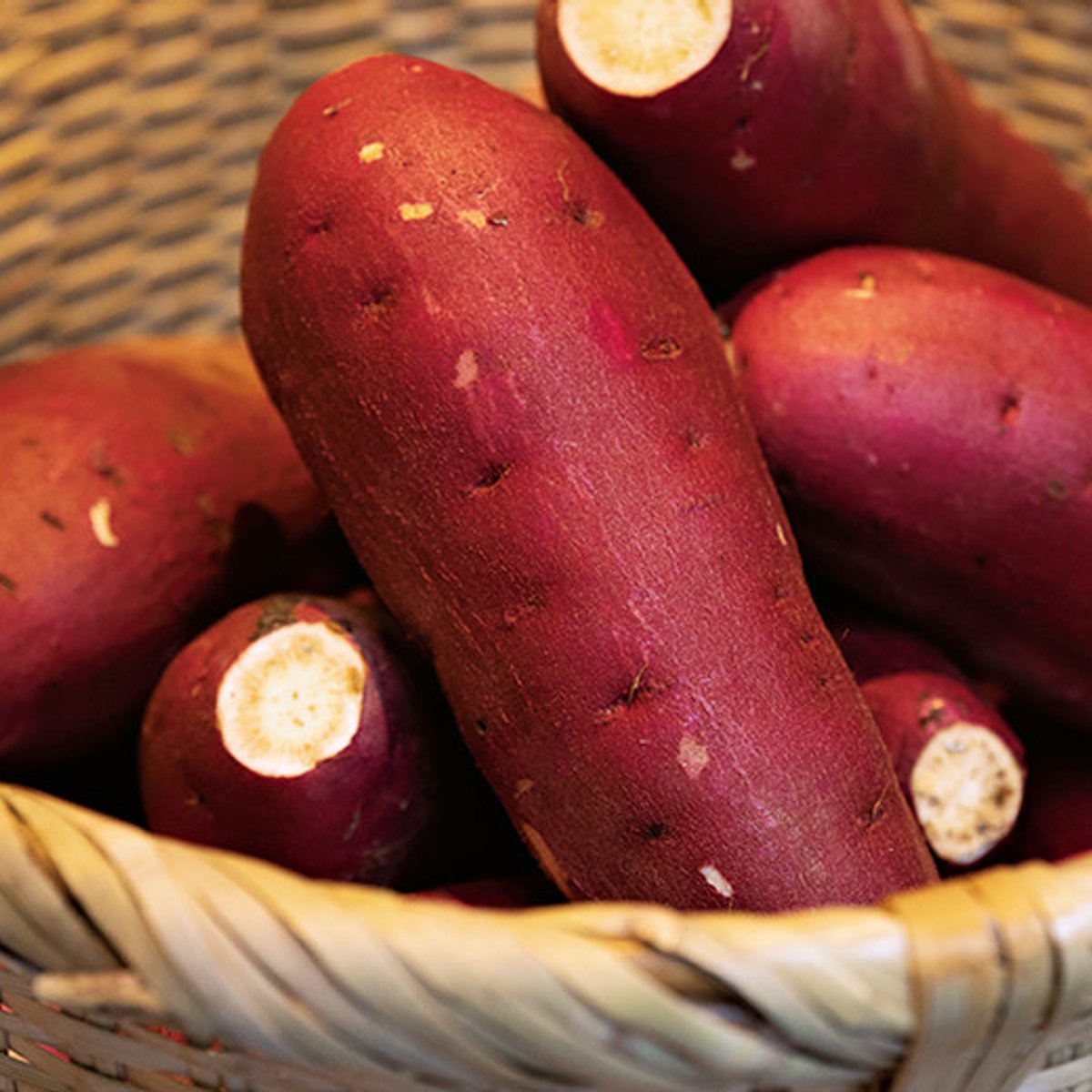 優しい甘さの、芋＆栗スイーツコレクション。