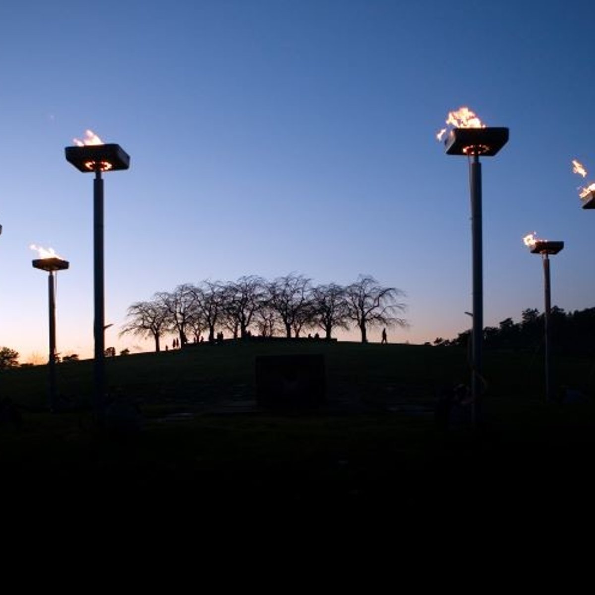 年に一度公開される、スウェーデンの森の墓地。