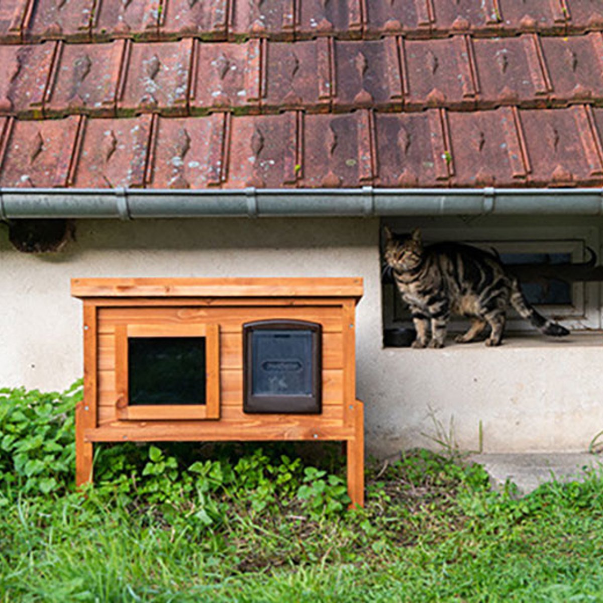 さよなら庭の桜の木。