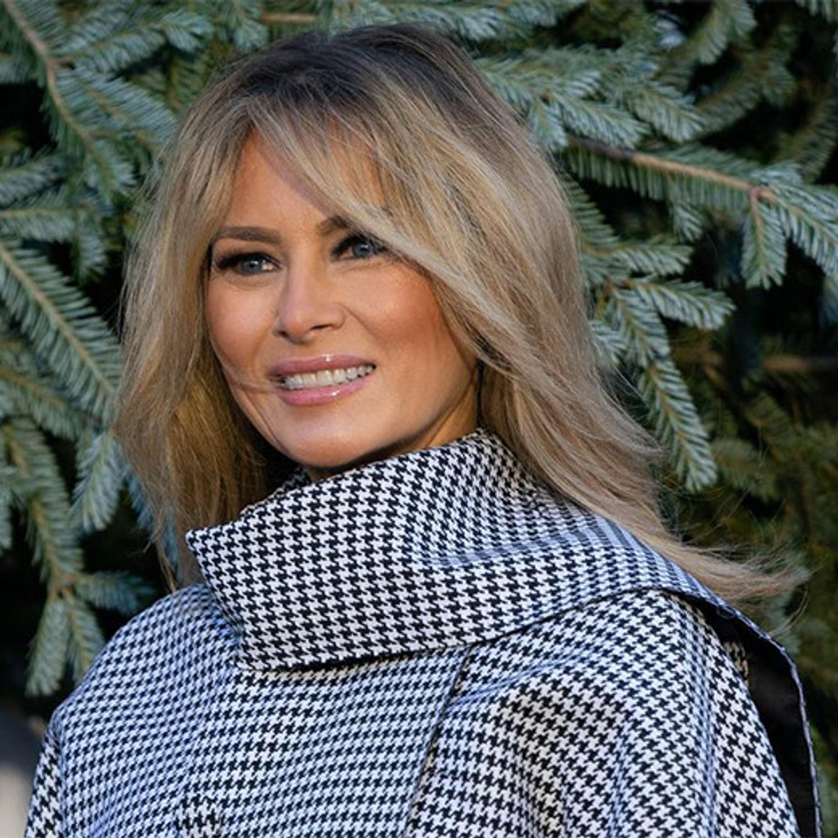 メラニア夫人と、人生の転機に髪型を変えたセレブたち。