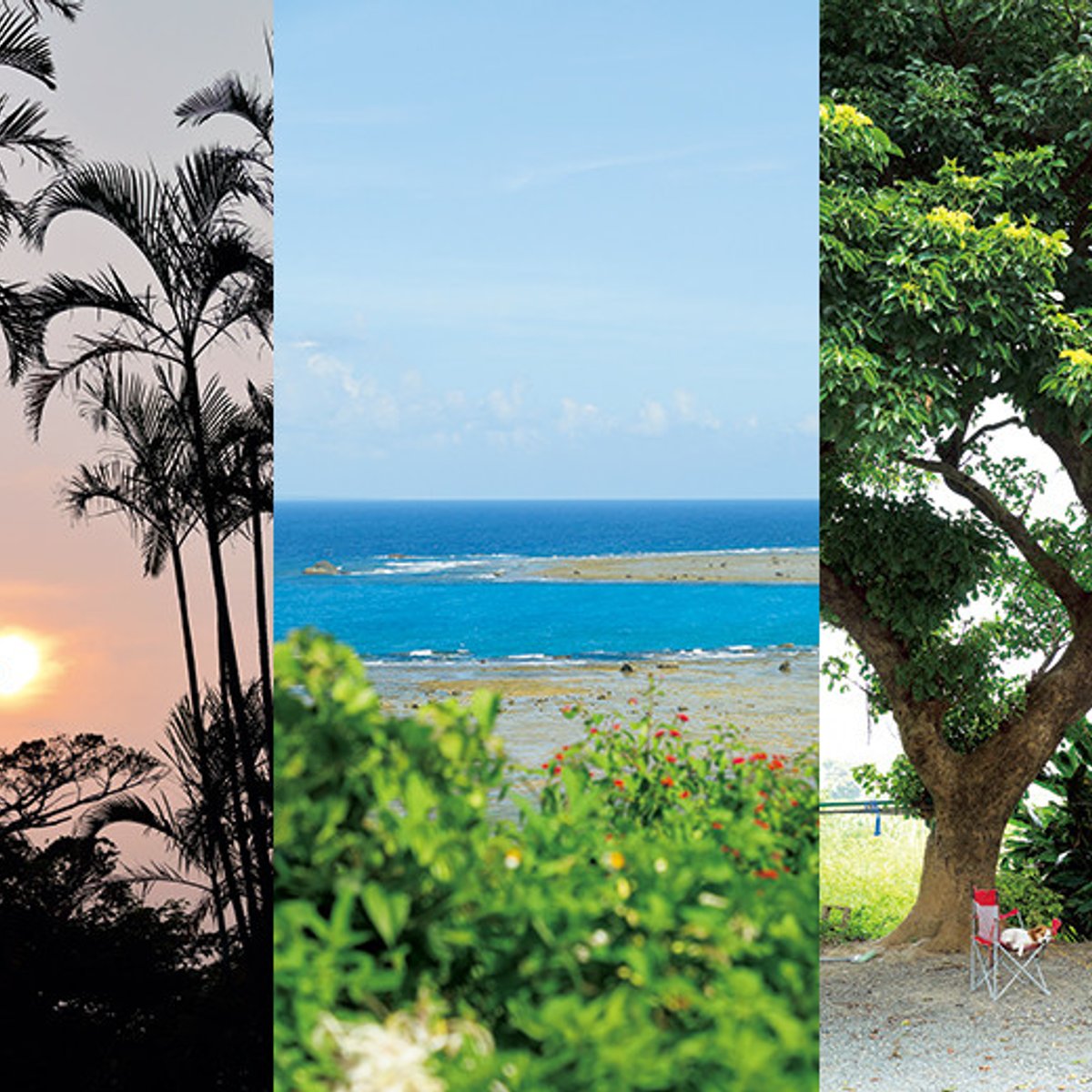 【奄美大島】クリエイターを魅了する、島の文化に出合う旅。