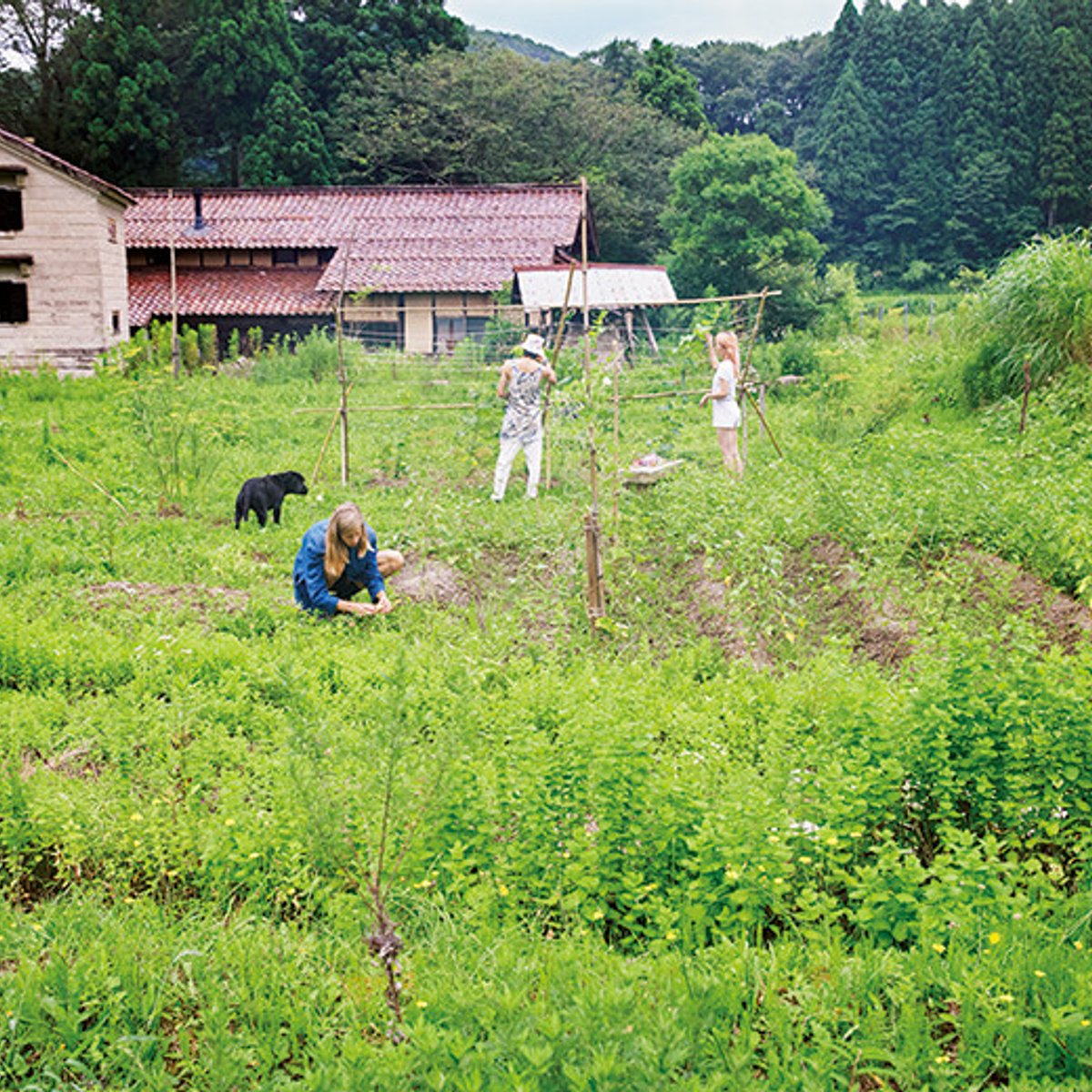 【加賀】コンテンポラリーな名作家具に囲まれ、農家ステイ。