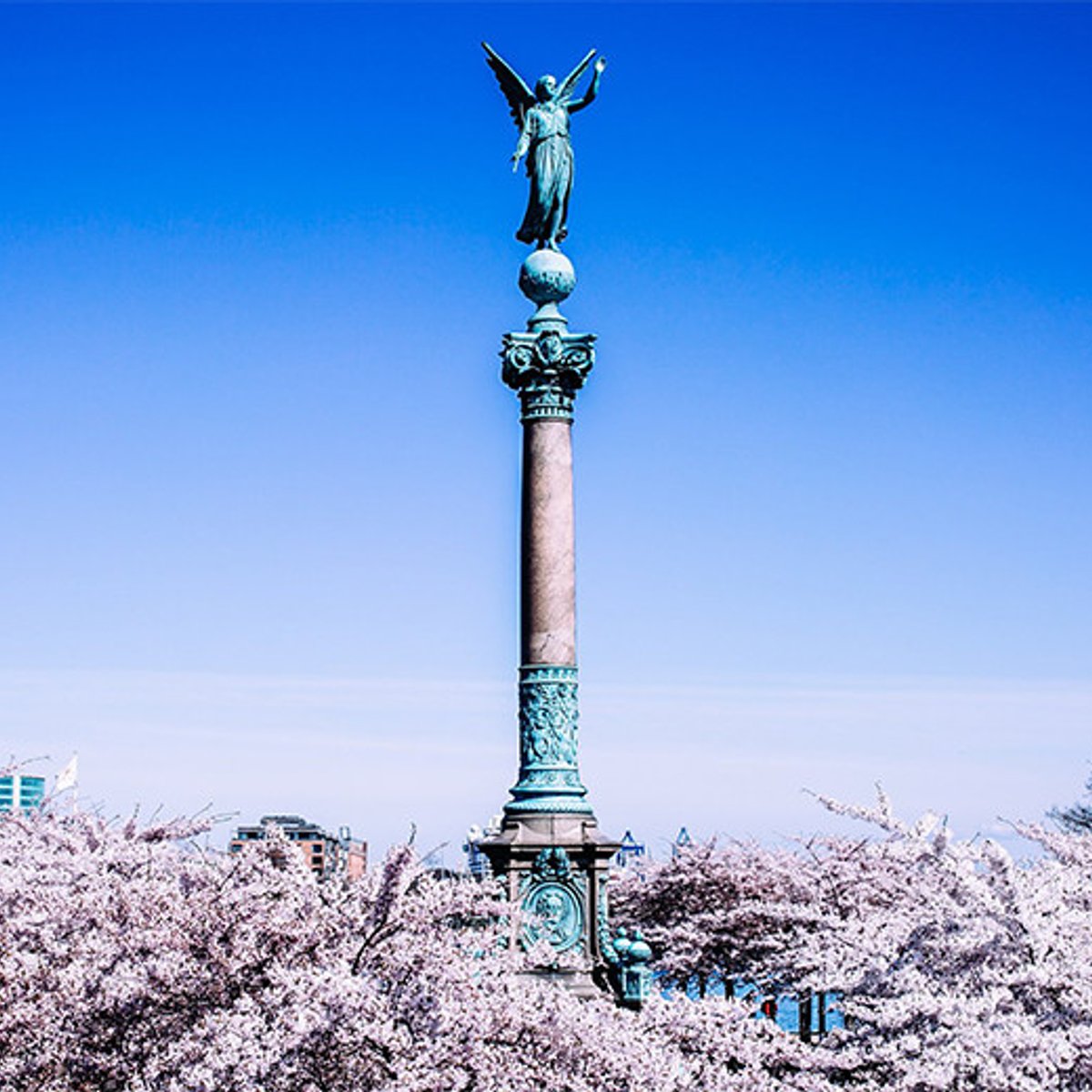 デンマークの白鳥も若者も、春の門出。