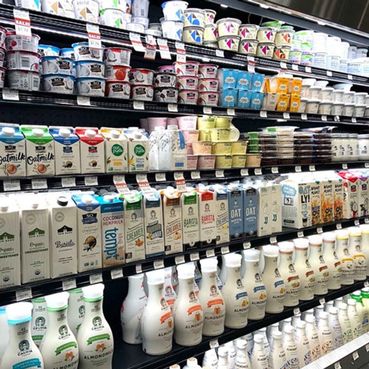 私にも地球にも健康的な、プラントベースの乳製品とは？