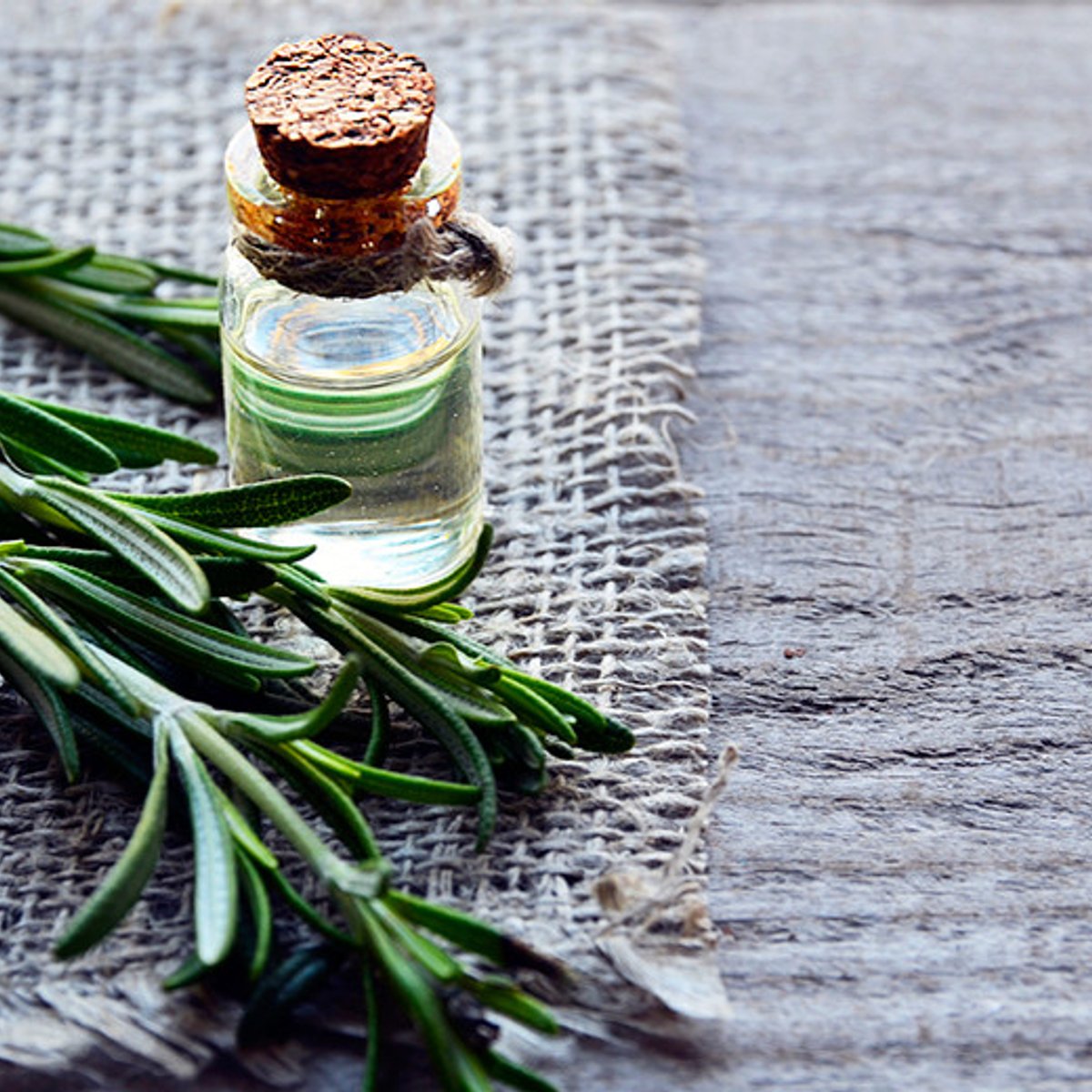 蒸し暑い季節もすっきり、ローズマリーの活用法。