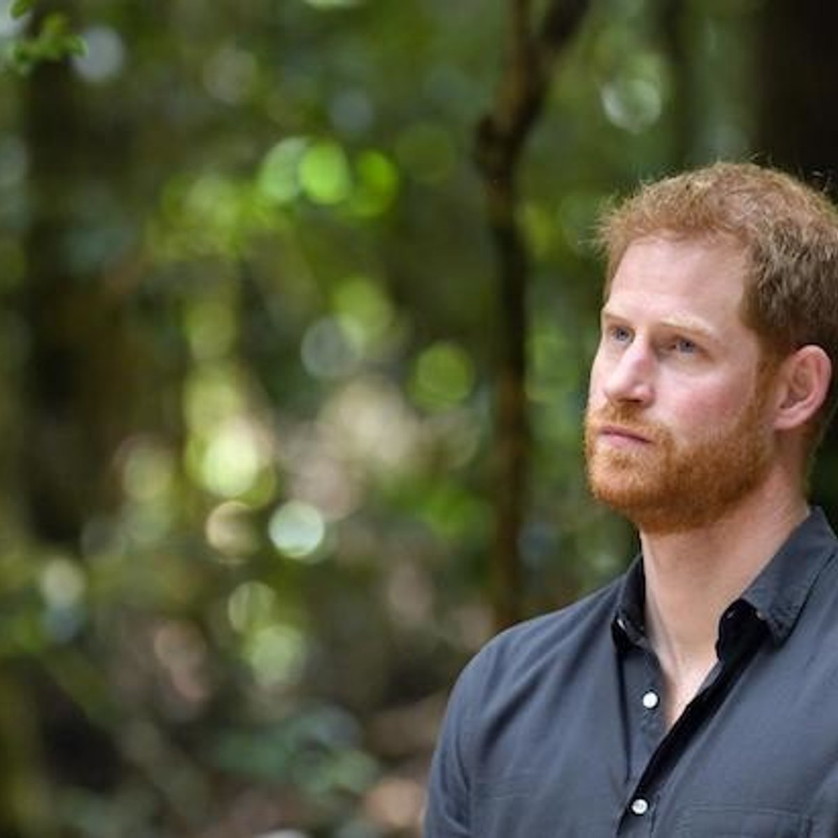 浮き沈み、そして過ち…ハリー王子が回顧録出版。