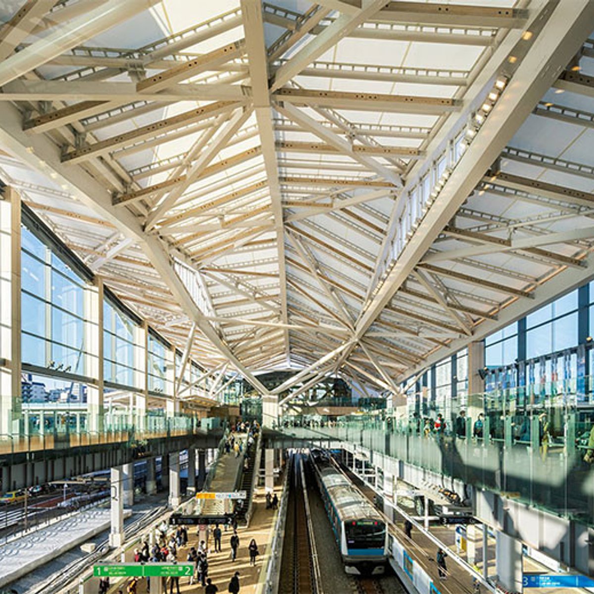 建築家・隈研吾に訊いた、「ネコの視点」に基づく展覧会。