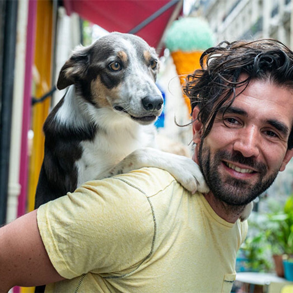 おんぶに抱っこ、パリ10区のサーカス犬。