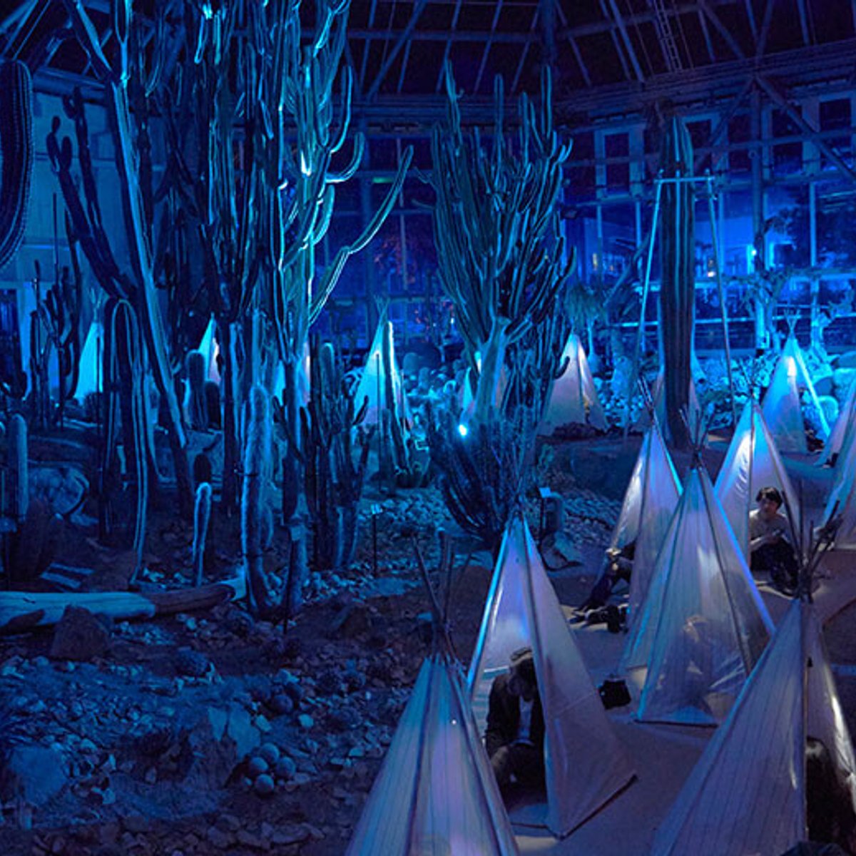 植物園でのアートな晩餐会『つみくさあそび』を体験しよう。