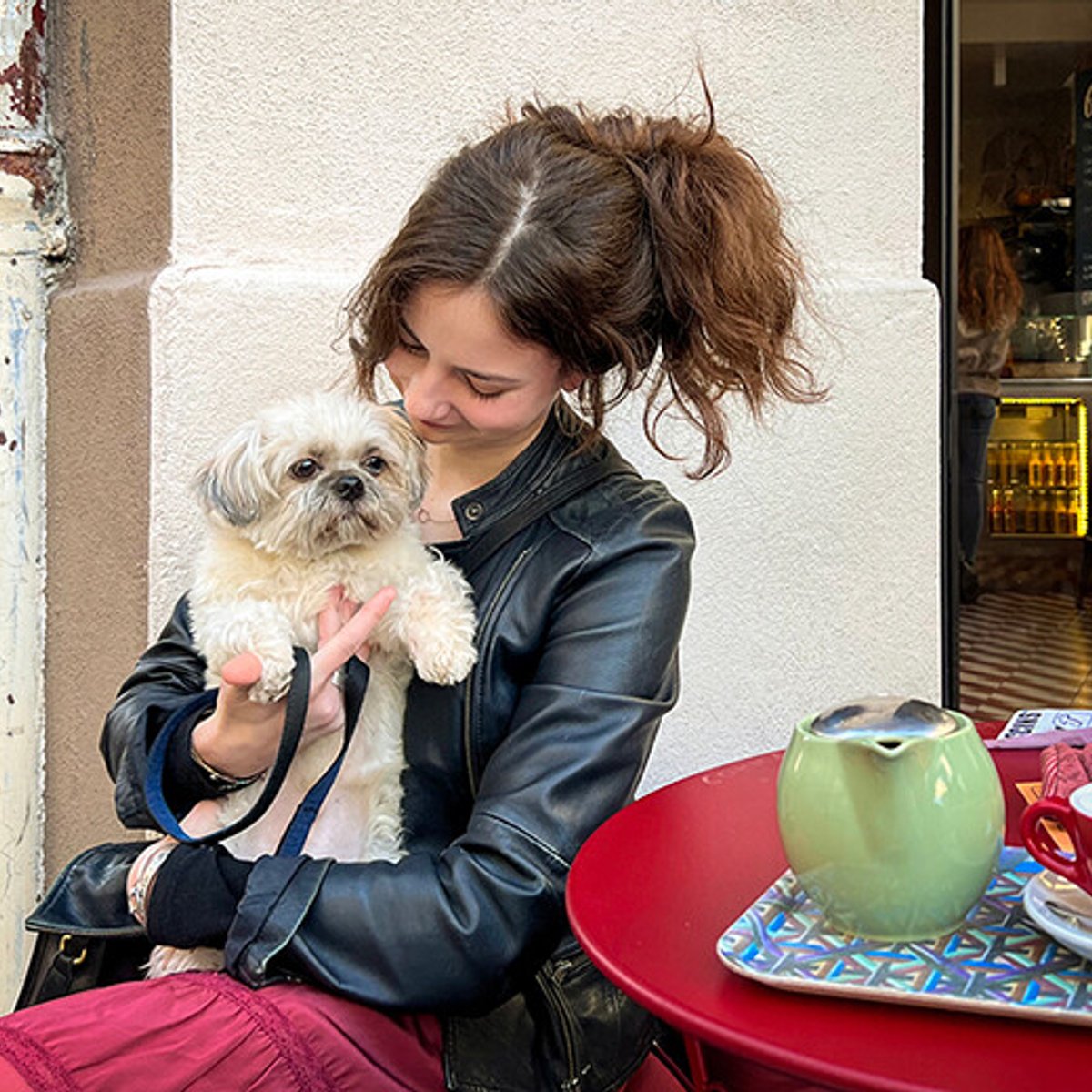 モンマルトルのシーズー犬、ペピート。