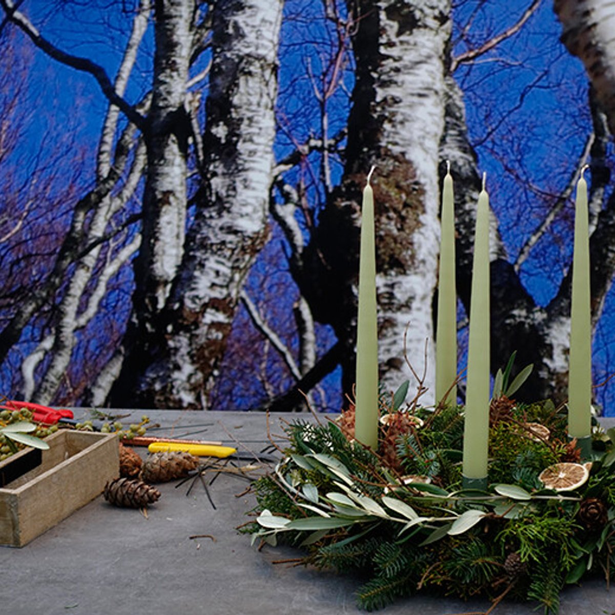 ４つのキャンドルを灯す、ドイツのアドベントクランツ作り。