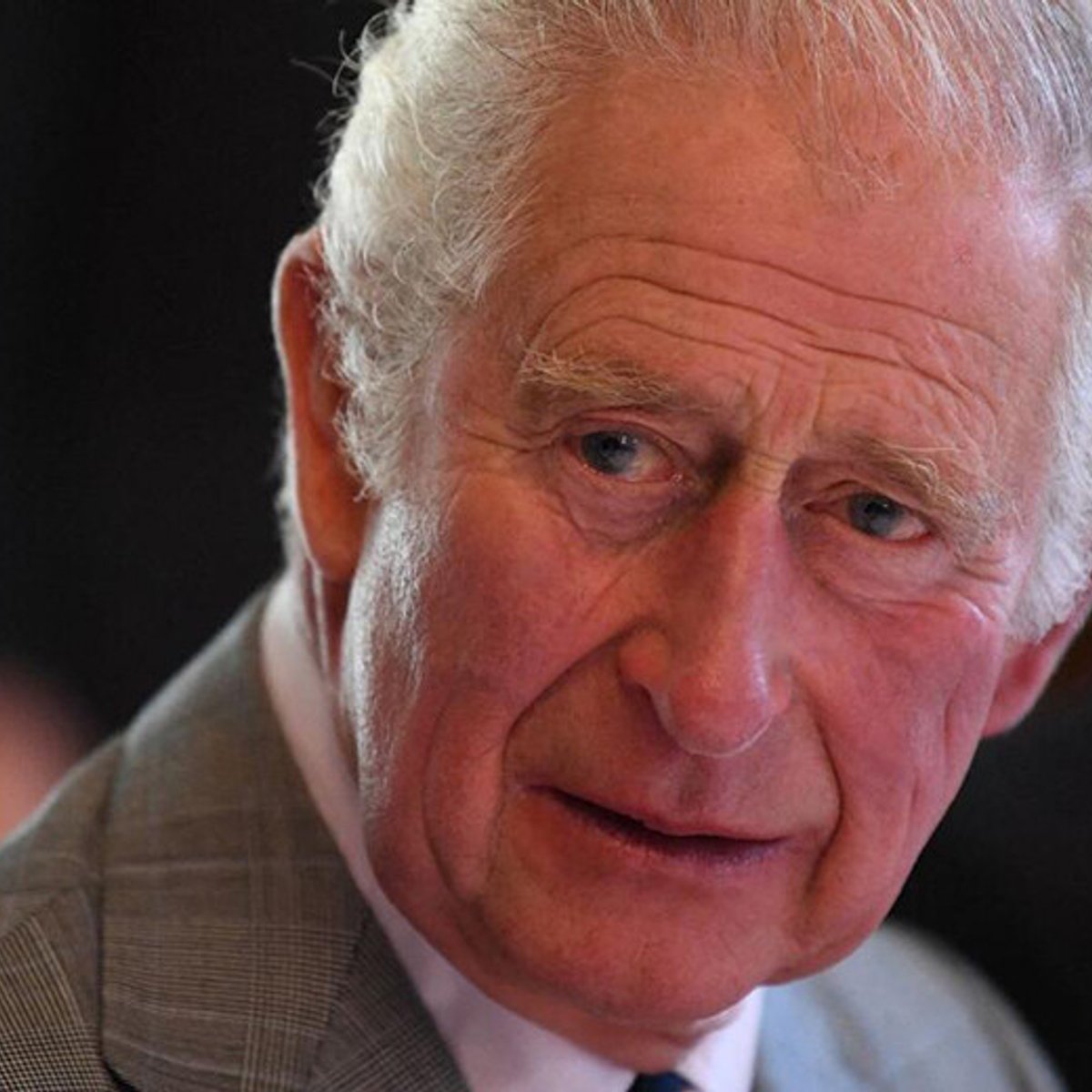 人種差別の疑いをかけられたチャールズ皇太子、弁護活動準備か。