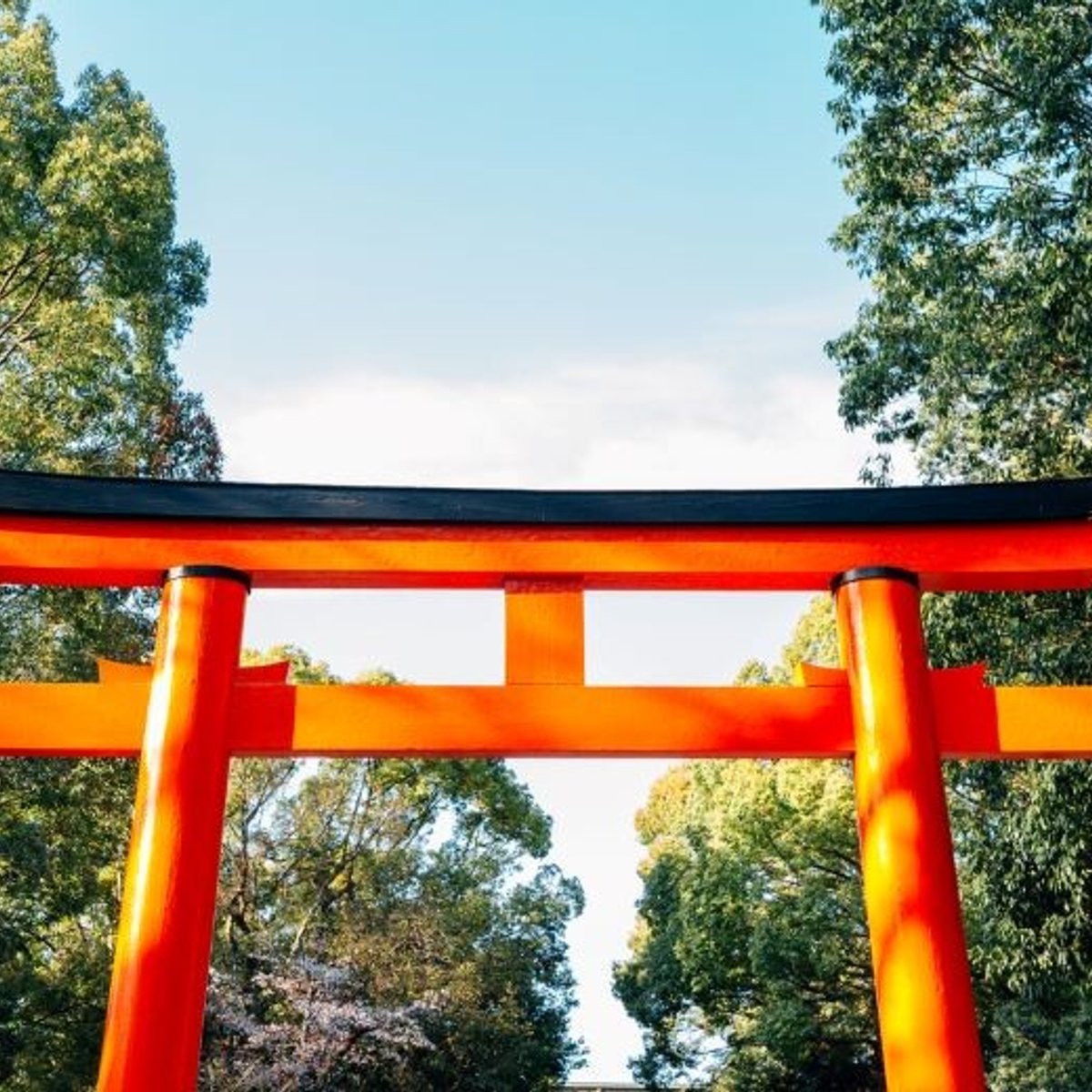 初詣に行く前に改めて……多くの運気を得る参拝ルールって？