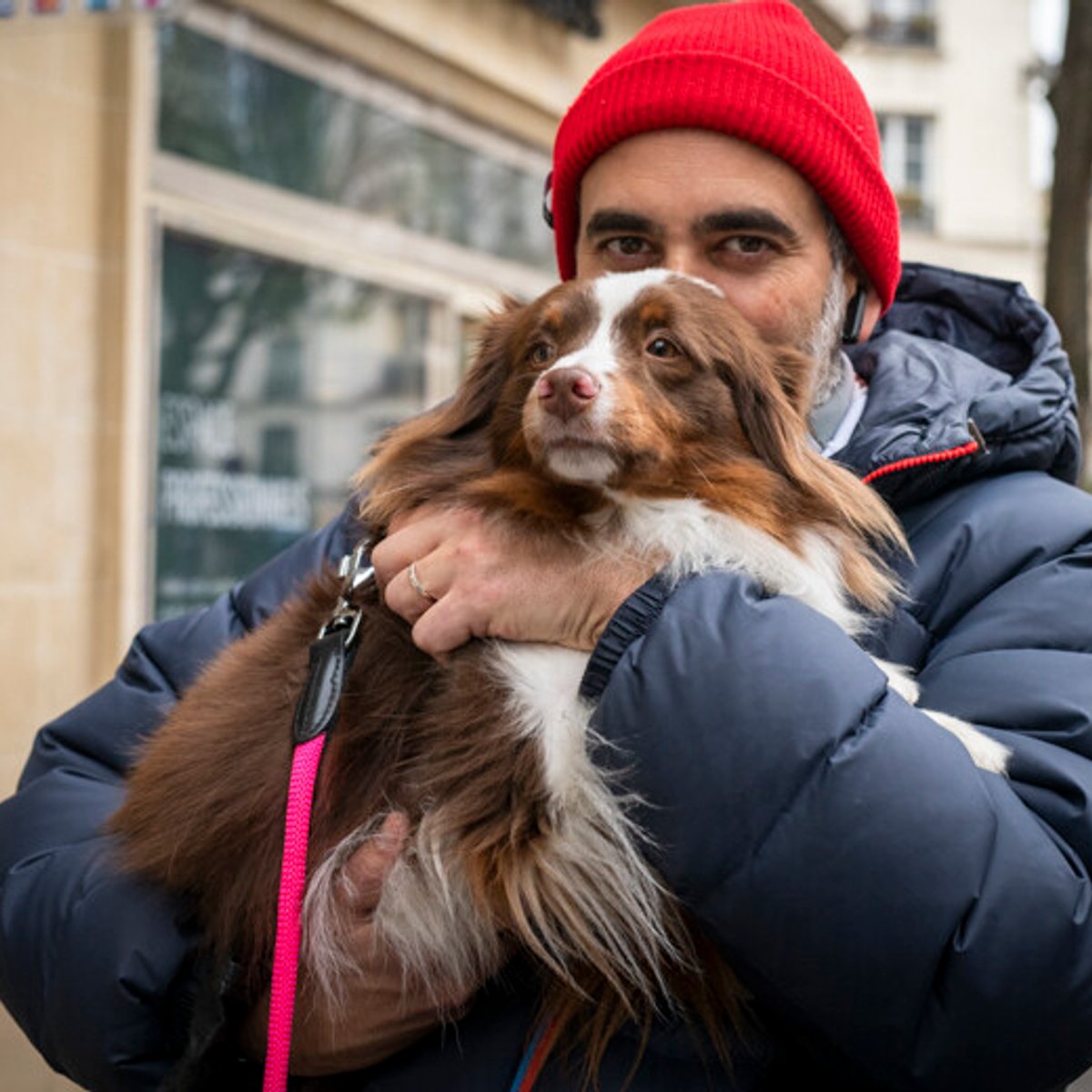 マレ地区で出会った忠実犬、ピスタッシュ。