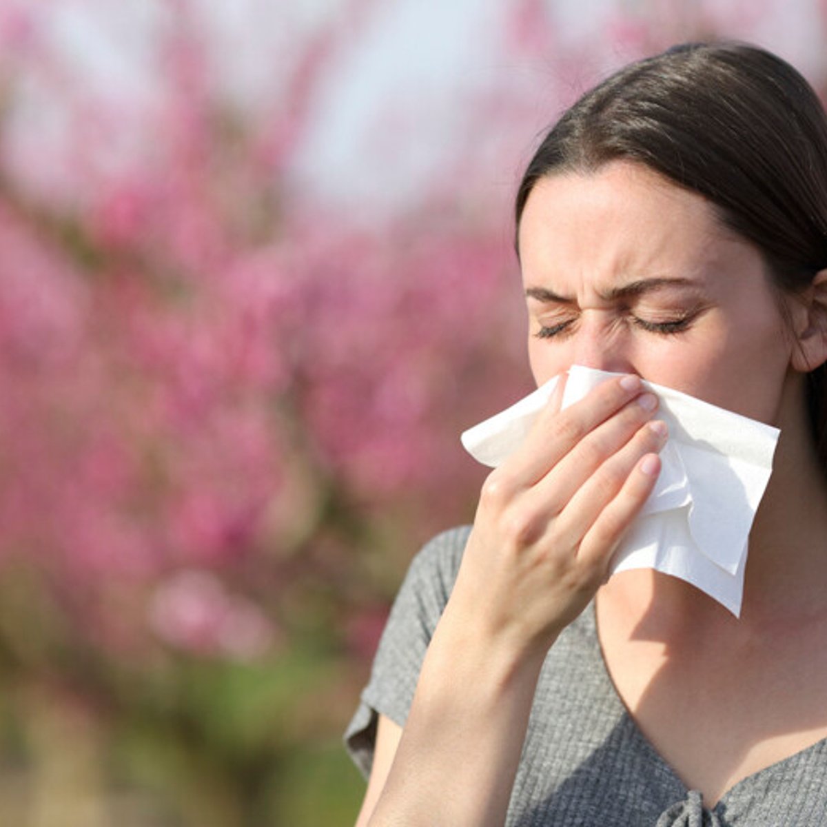 花粉症は、腸から解決！ キーワードは「多様性」。