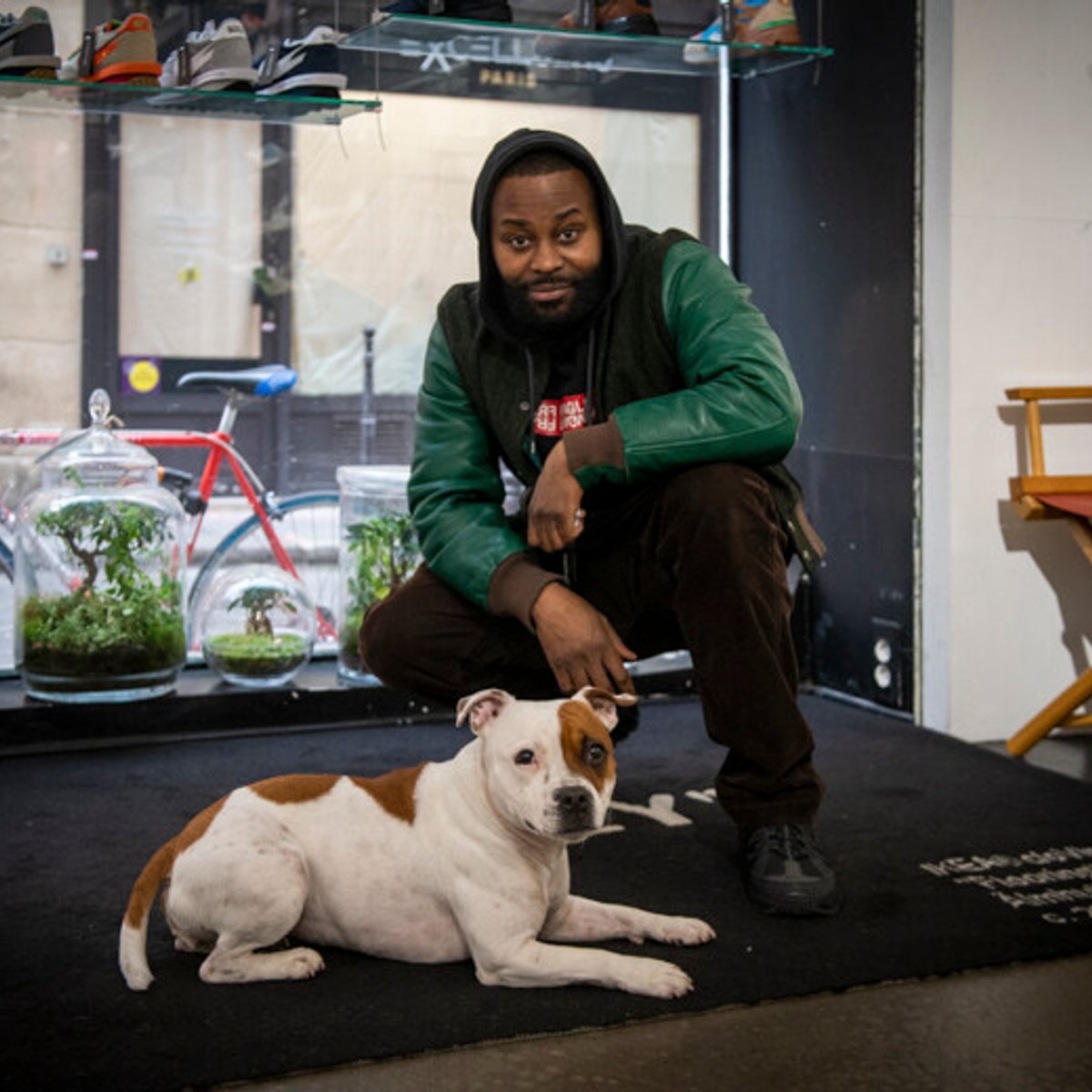 心やさしい、ナニードッグのフォクシー