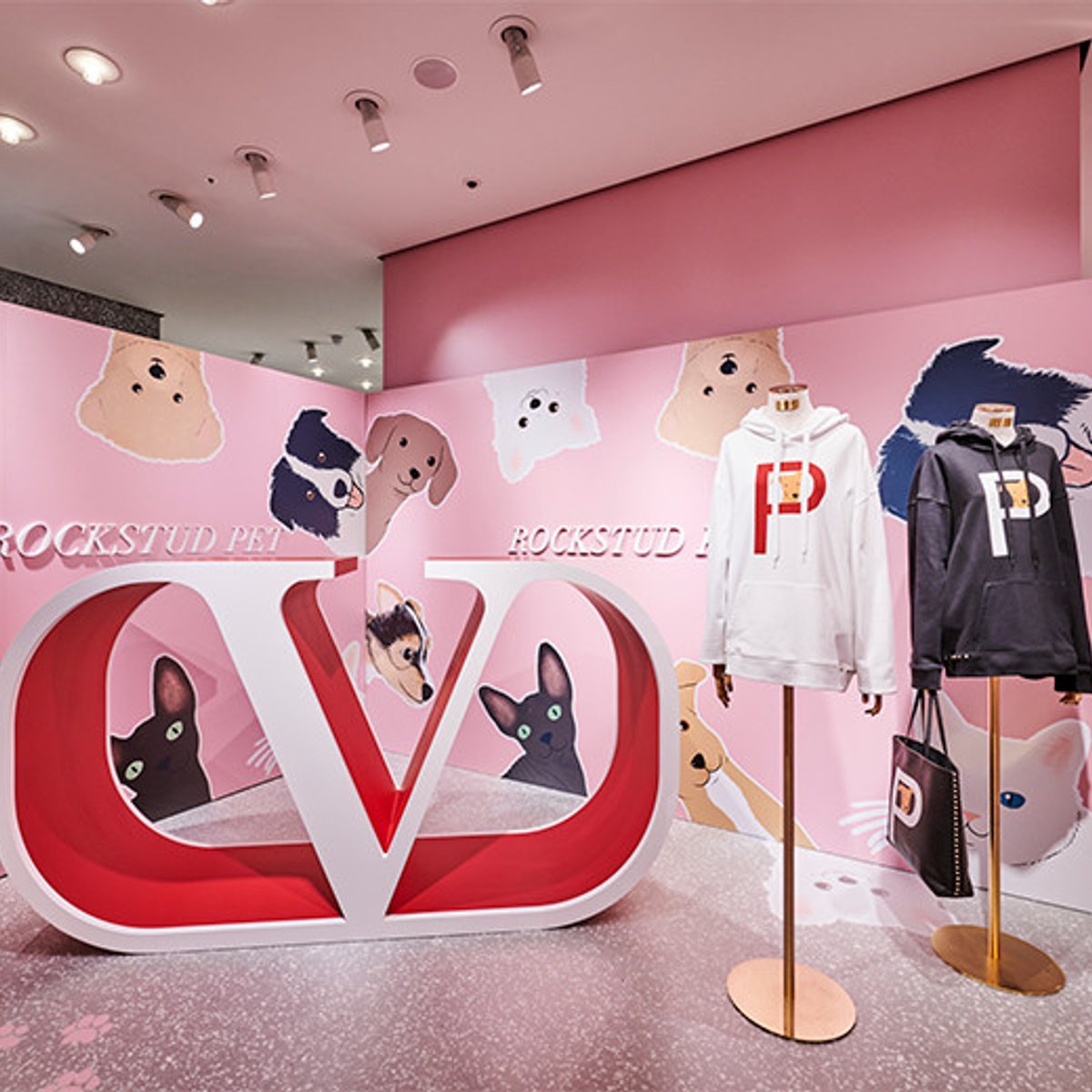 ペット同伴で、ヴァレンティノ ガラヴァーニのイベントへ！