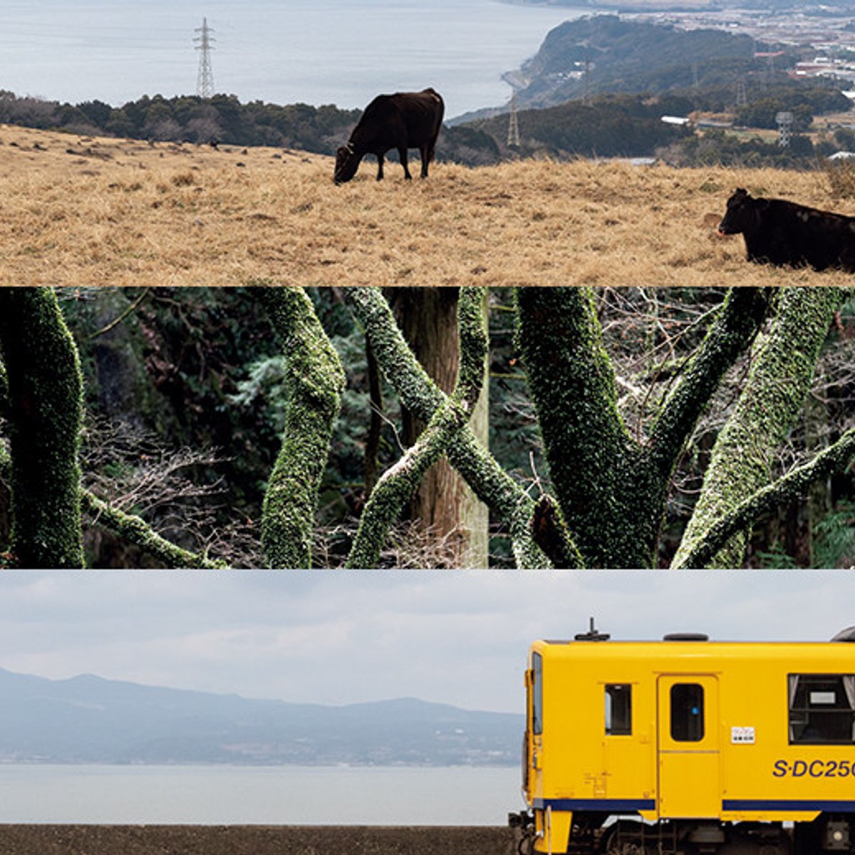 大地の恵みを丸ごと味わう、雲仙岳のおいしい旅。