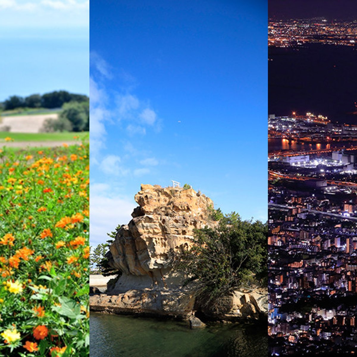 5つの国が育んだテロワールで体験する兵庫の魅力。