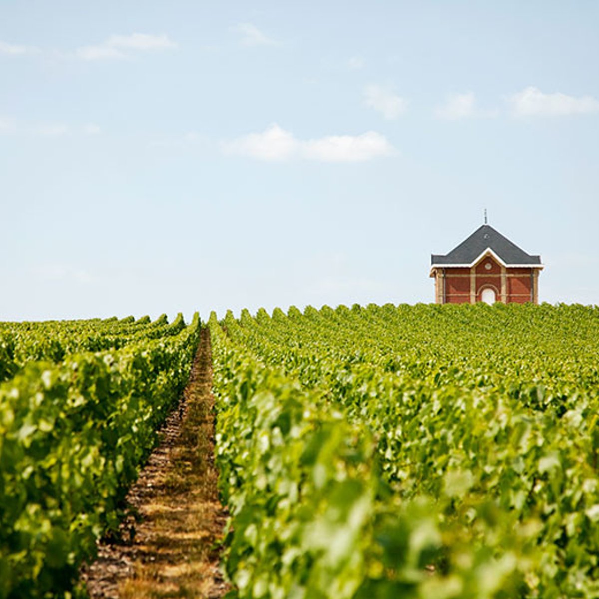 シャンパーニュで過ごした夏至の１日。 モエ・エ・シャンドンの里、エペルネへ。