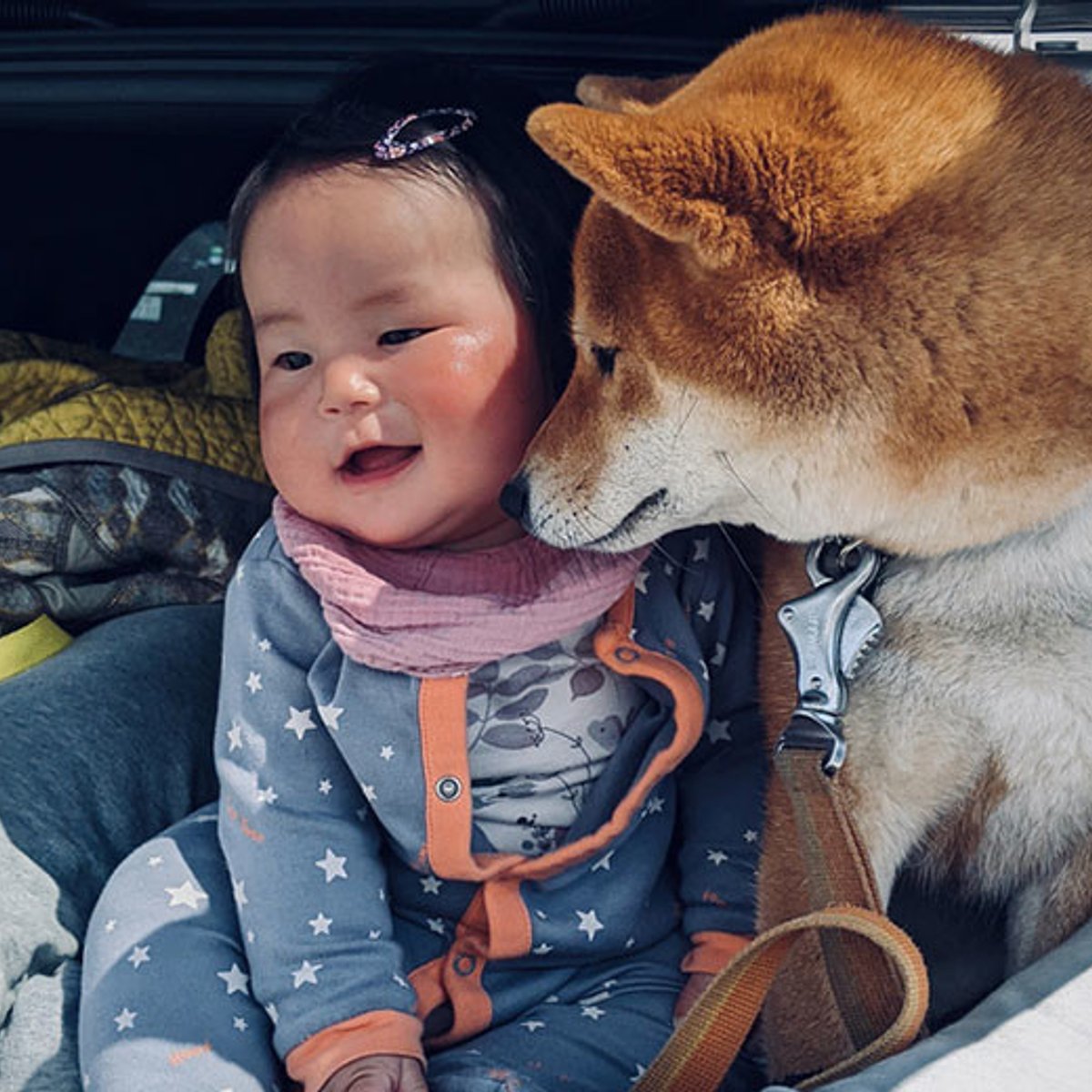 東京と鎌倉、二拠点生活の現実。