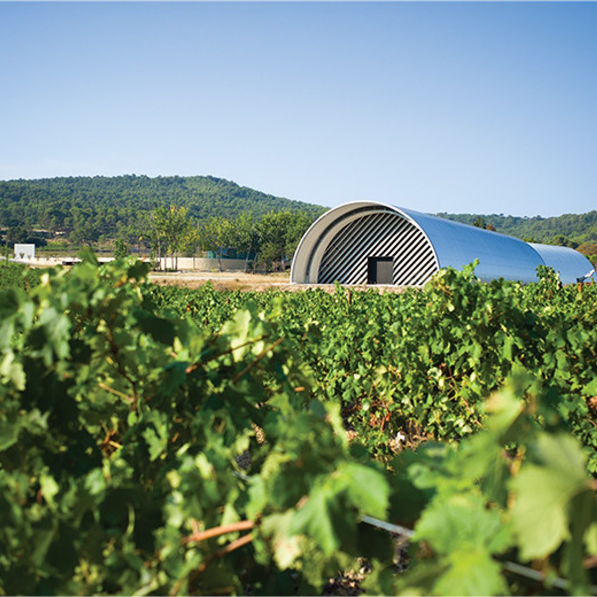 建築＋アート＋自然＋食＋ワイン＝シャトー・ラ・コストへ行こう。