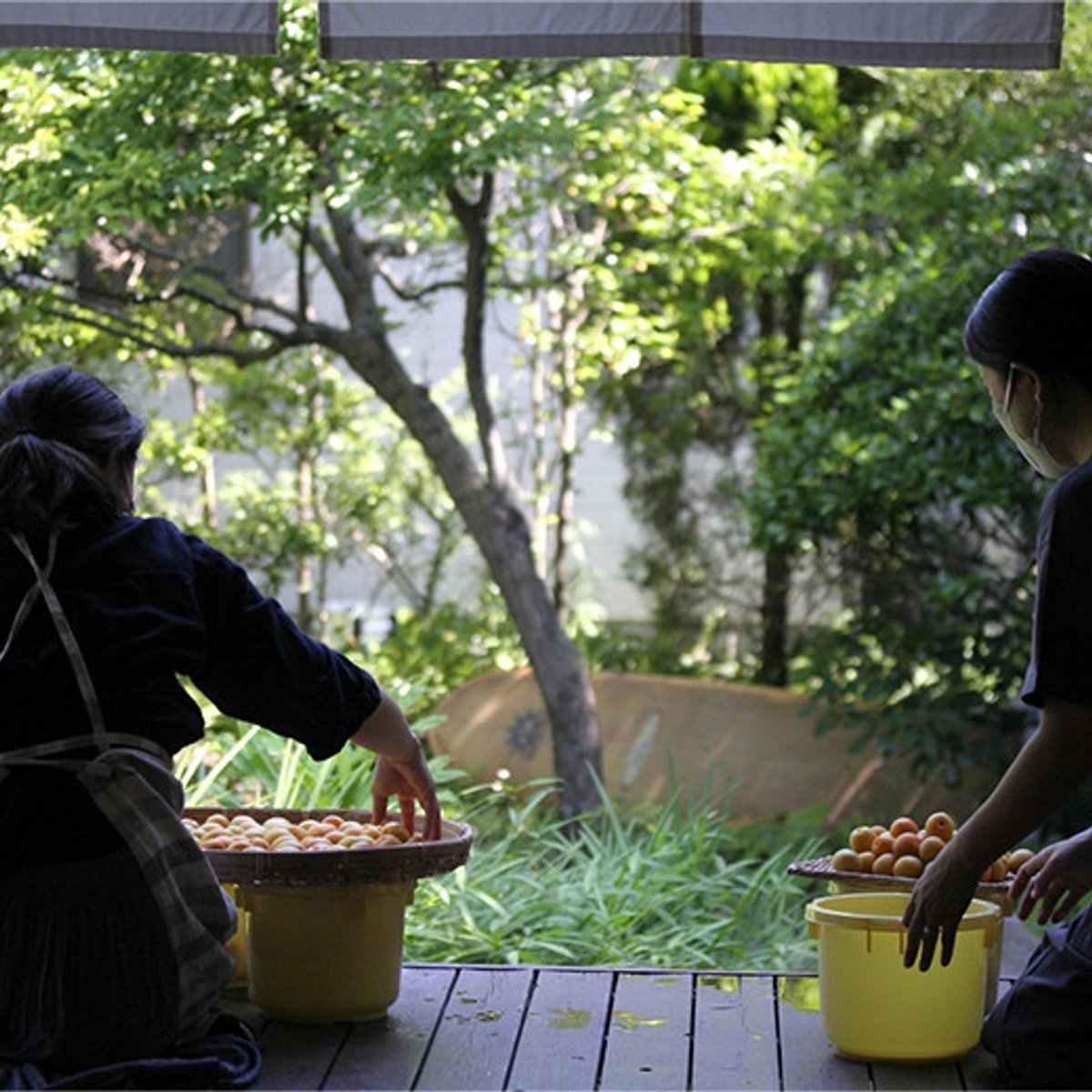 鎌倉の古民家で教わる、暮らしの知恵・季節の手仕事。