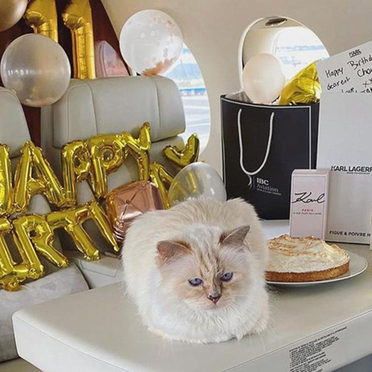 画像】カール・ラガーフェルドの愛猫シュペット、豪華すぎる誕生日