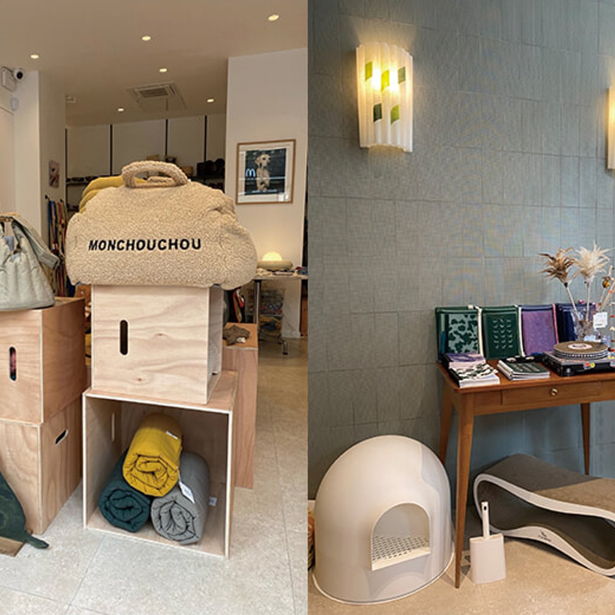 パリの犬猫は幸せだ。アルファで買い物、スパ、お泊まりも！