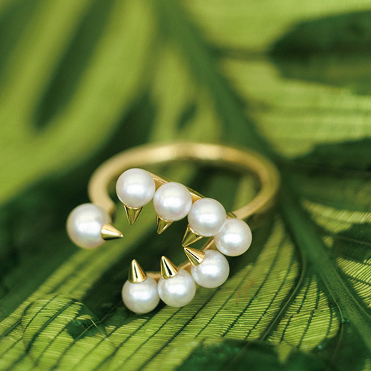 221214-tasaki-1x1-2.jpg