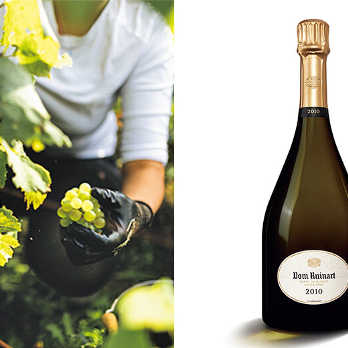 コルク熟成から生まれる、美しきブラン・ド・ブラン。