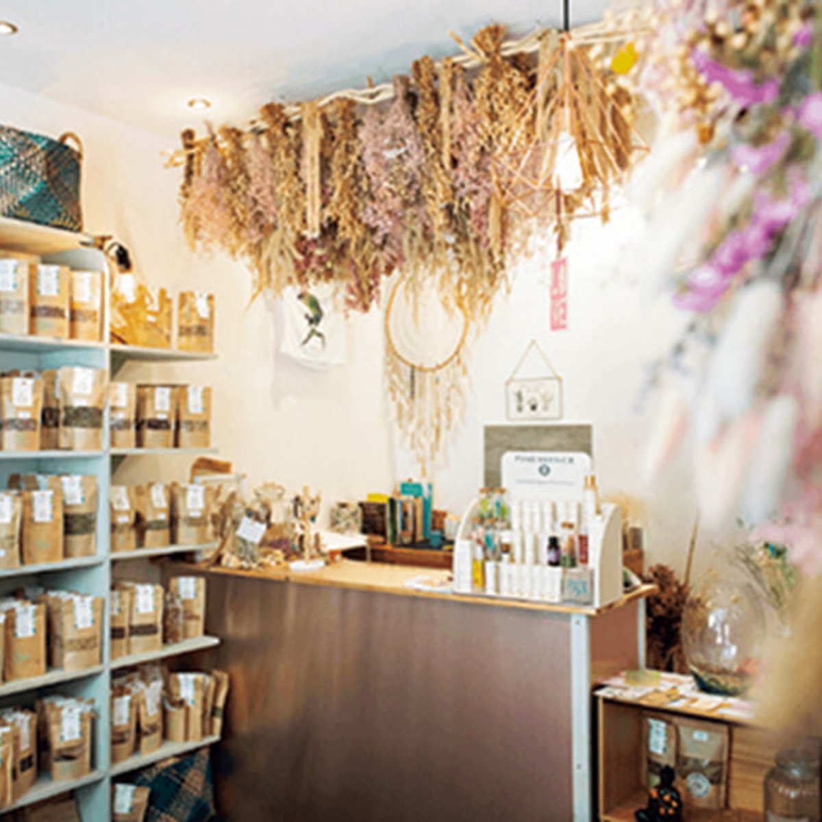 パリの最新美容ニュース、飲む薬草で体調管理⁉︎