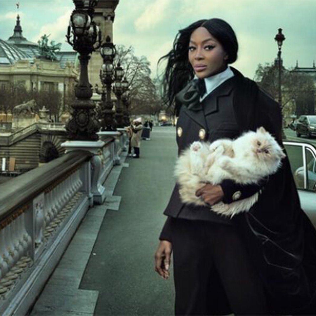 ラガーフェルドの愛猫シュペットにスポットライト再び！