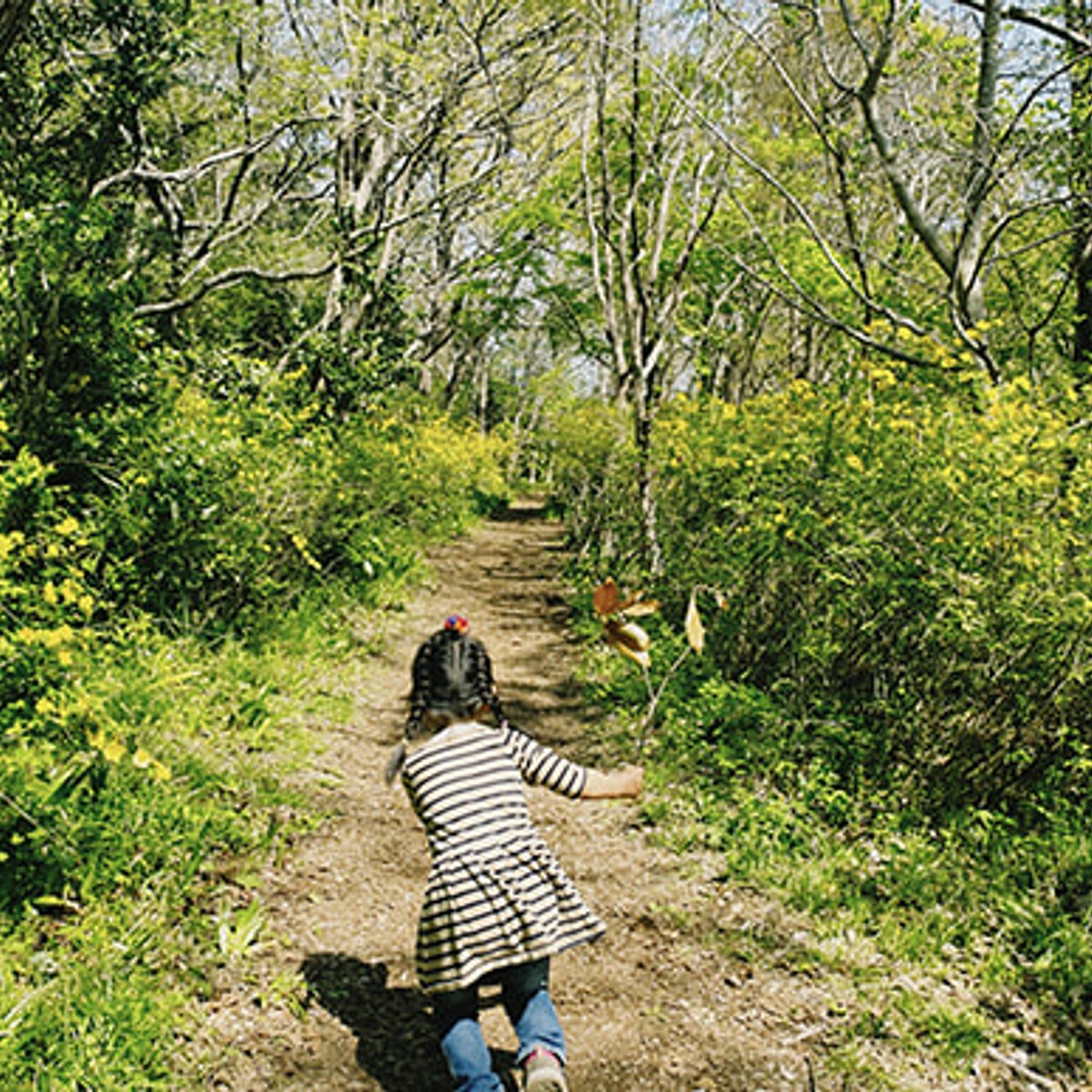 鎌倉、邦栄堂製麺のやきそばを持ってピクニックへ。