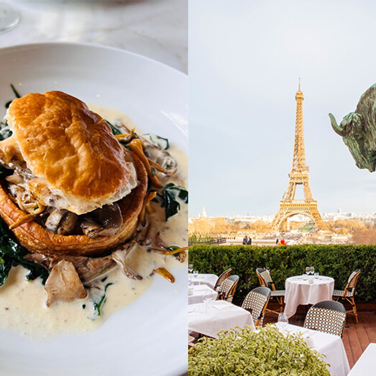 人類博物館内、新生したカフェ・ドゥ・ロムで特別なひととき。