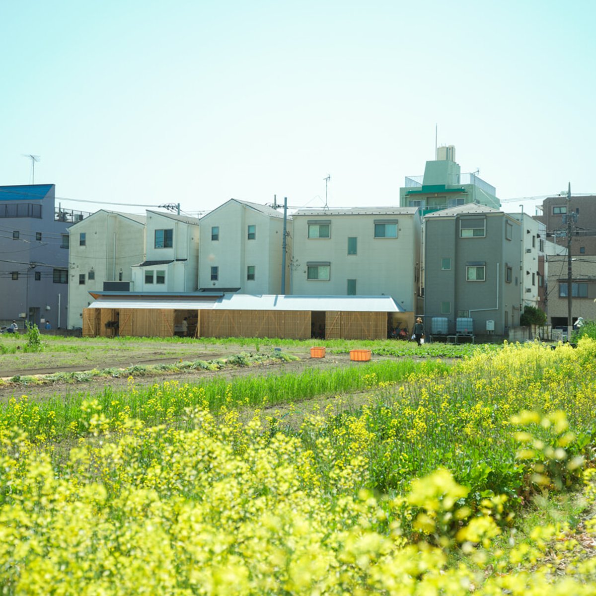 エーグルも注目、都市型農業が叶える豊かな暮らし。