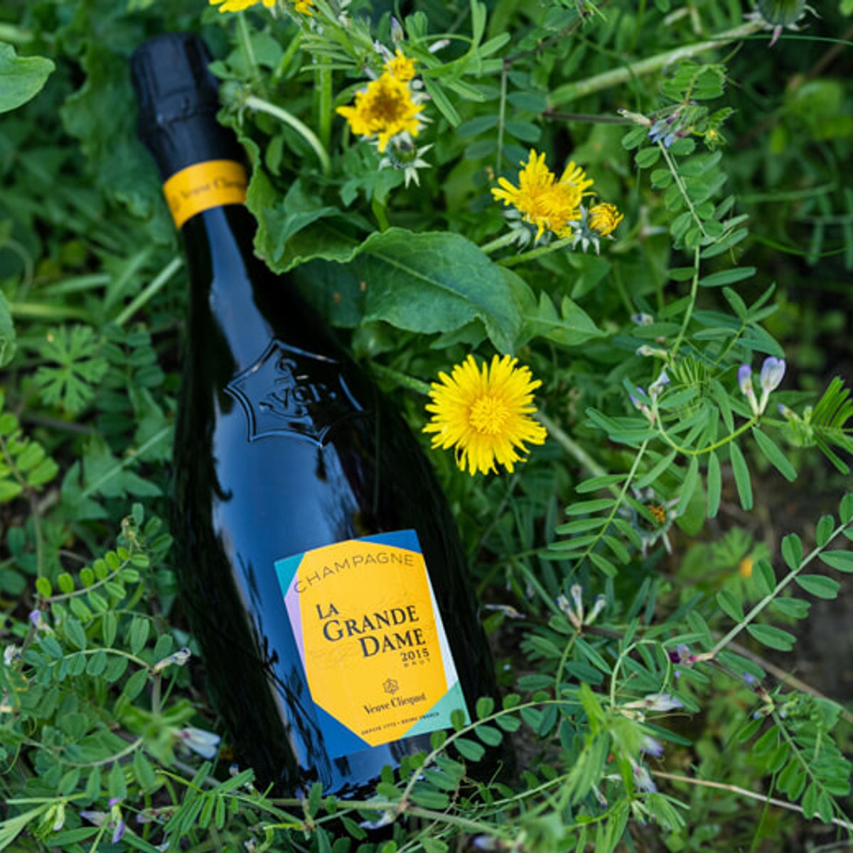 ヴーヴ・クリコ「ラ・グランダム 2015」と美食のペアリング体験！