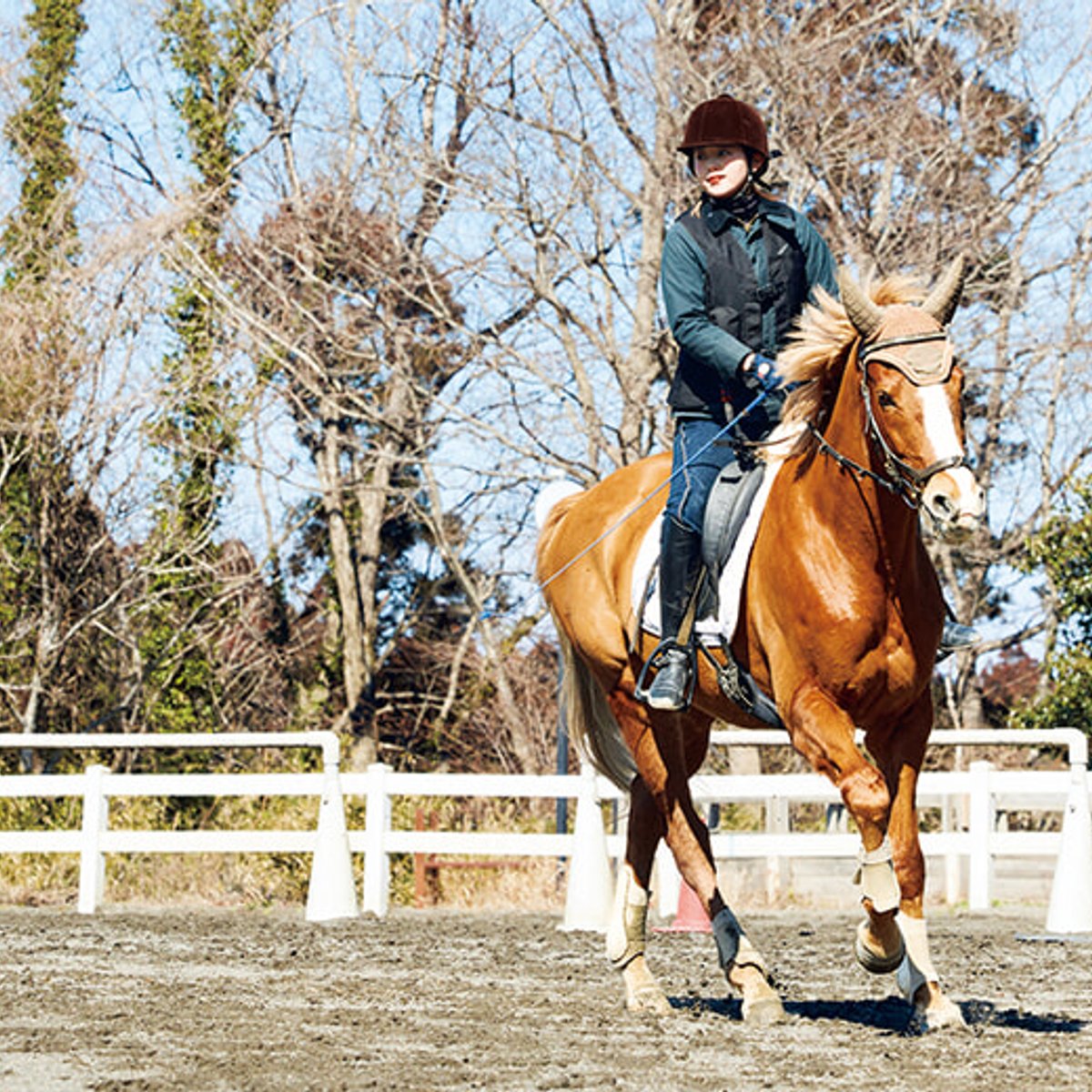 乗馬＆サウナで、身体と心がととのう実感。