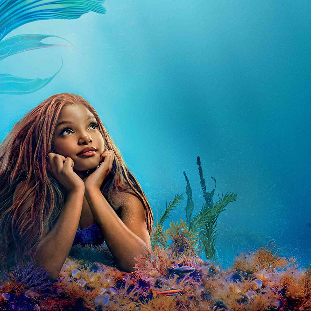 『リトル・マーメイド』で海中散歩しよう！