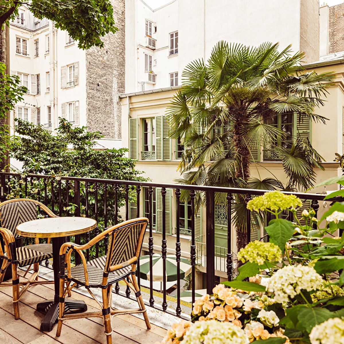 新ホテルのエルドラード、この緑の理想郷で眠る？ 食事する？