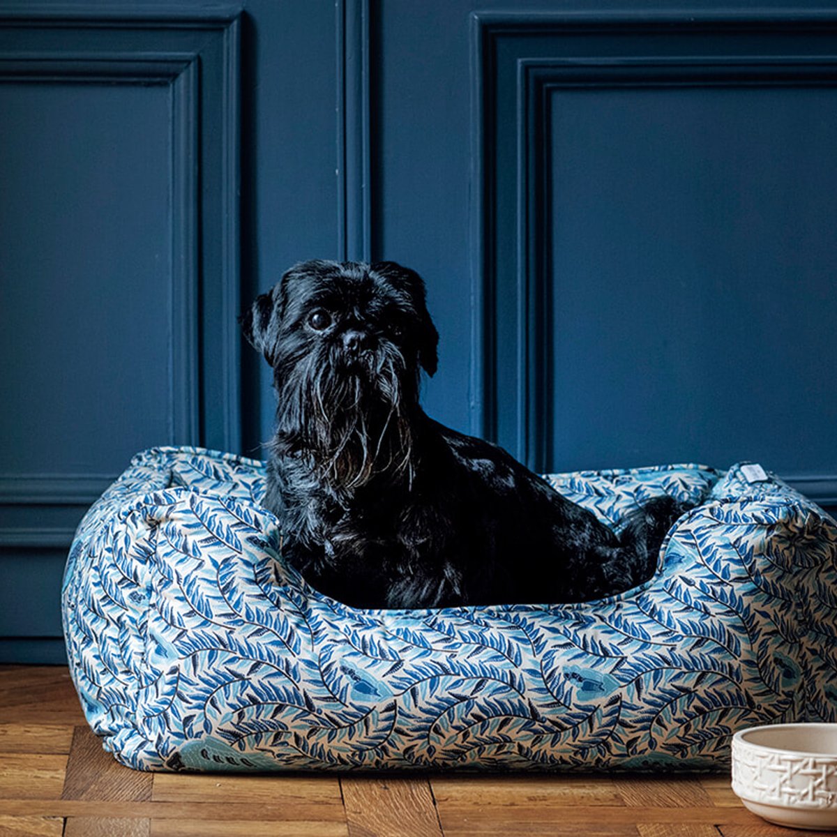 パリから届いた、ドッグニュース。