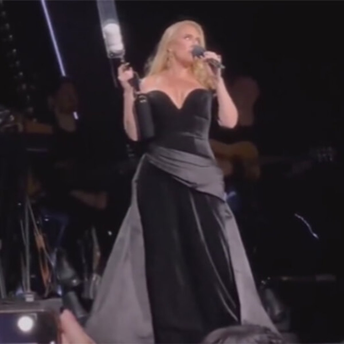 「物を投げたら、殺してやる！」アデル、観客に（強烈な）注意勧告。