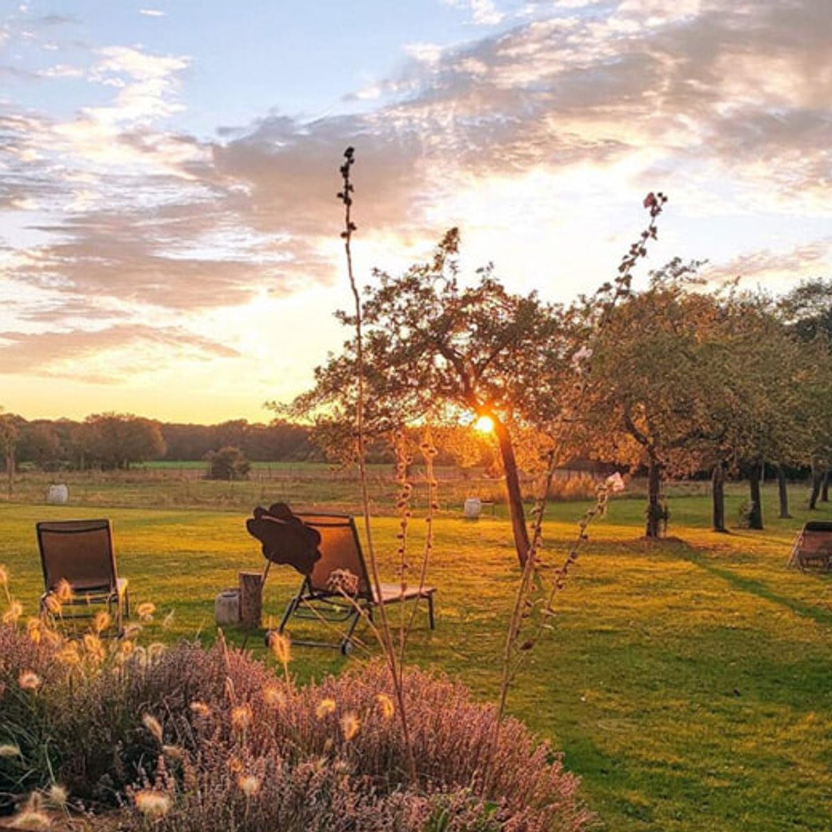パリ＆ジヴェルニーへ、子どもの感性を育む旅。
