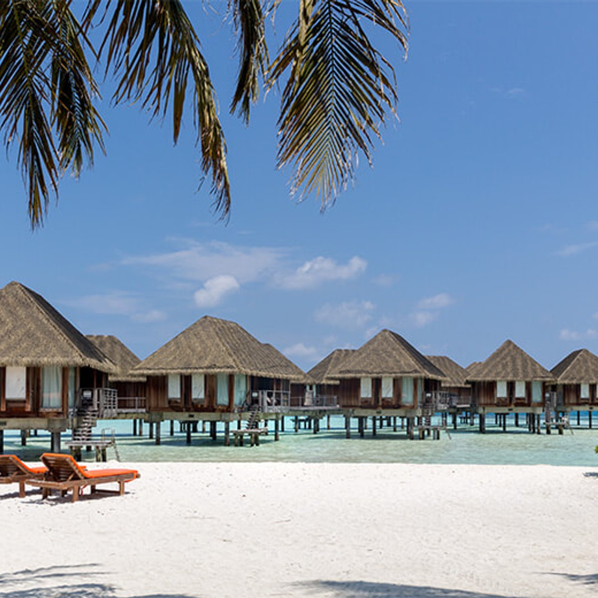 この夏はヨーロッパの周遊とモルディブ、3週間の旅へ！