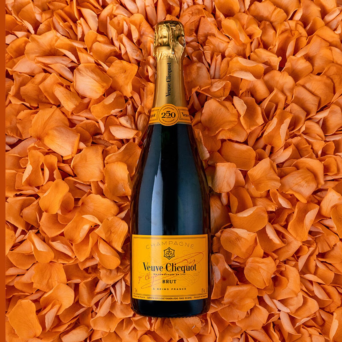 フラワーアートとともに、この夏、ヴーヴ・クリコを楽しむ。