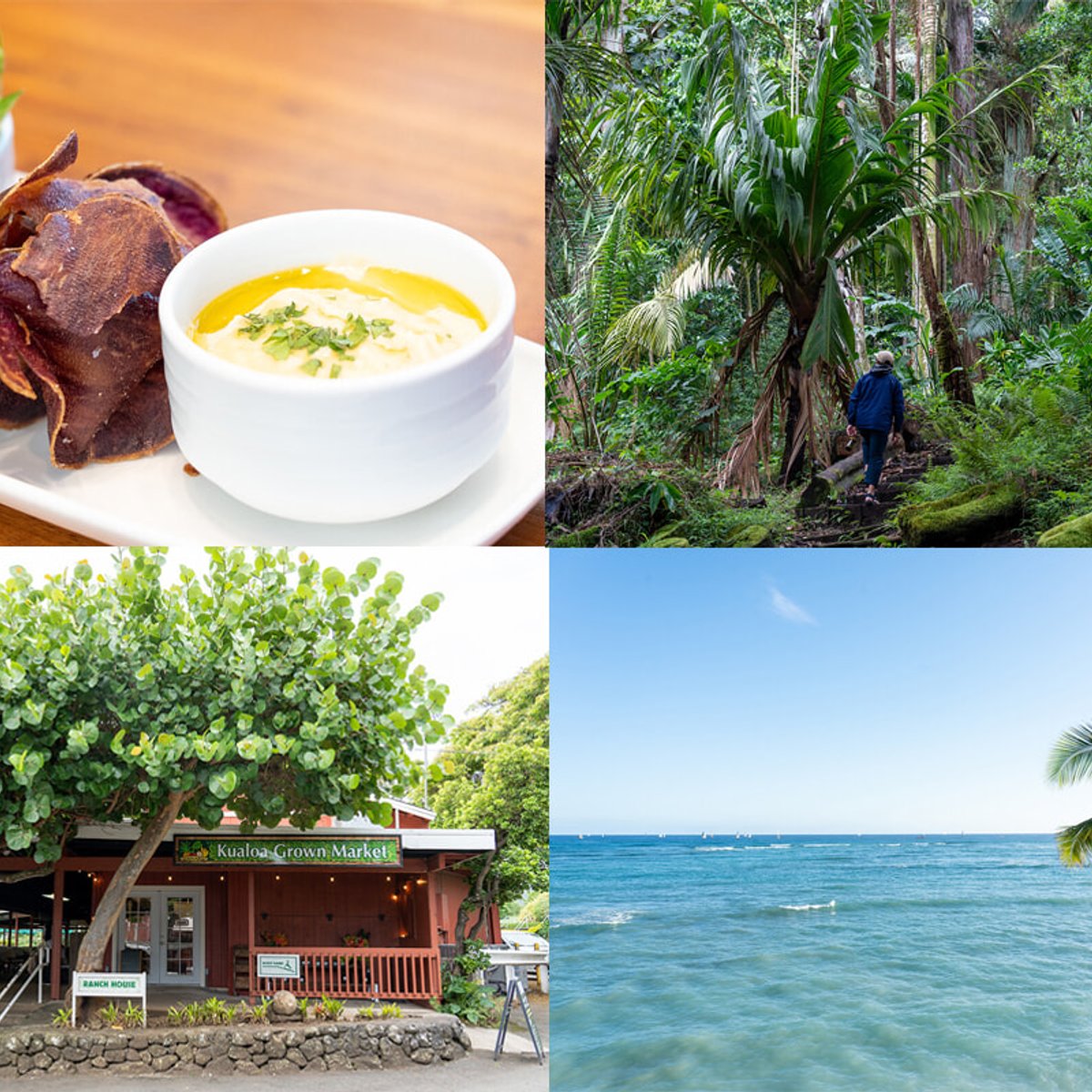 マラマのこころに触れるハワイへの旅。